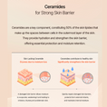 Cargar la imagen en la vista de la galería, Infographic on ceramides for strong skin barrier, showing benefits like hydration & protection against dryness.