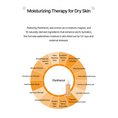 Load image into Gallery viewer, Moisturizing Therapy for Dry Skin with Panthenol and 16 natural ingredients to hydrate and protect skin from UV stress.
