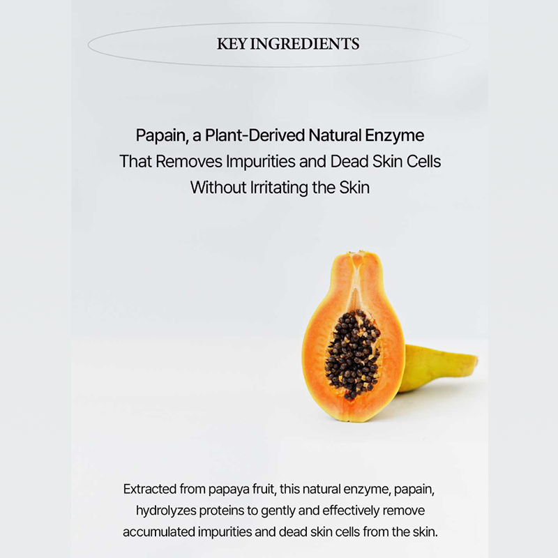 PURIFYING ENZYME POWDER CLEANSER - IDENEL